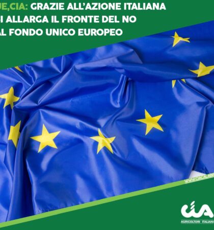 CIA-CALABRIA-template-CIA-UE-FONDO-UNICO-EUROPEO