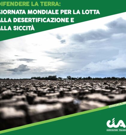 CIA-CALABRIA-template-social-DIFENDERE-LA-TERRA