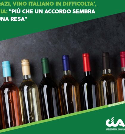 CIA-CALABRIA-template-sociall-dazi-vino-cia