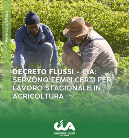 CIA-CALABRIA-SOCIALLAVOROSTAGIONALE