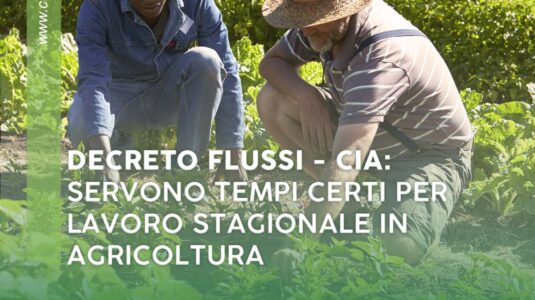 CIA-CALABRIA-SOCIALLAVOROSTAGIONALE