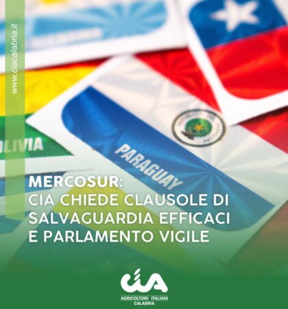 CIA-CALABRIA-SOCIALMERCOSUR