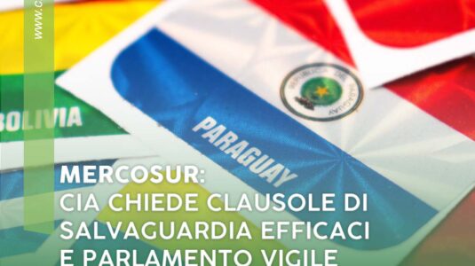 CIA-CALABRIA-SOCIALMERCOSUR