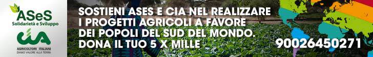 ases cia